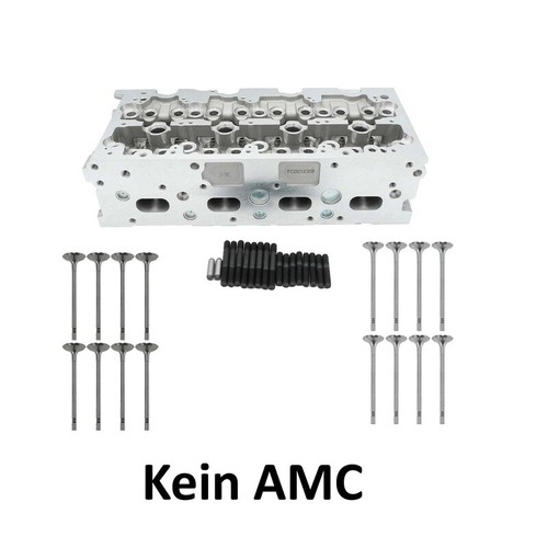 Cylinder head valves - cylinder, naked