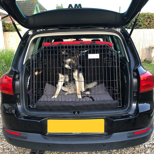 Pet world volkswagen - world, tiguan