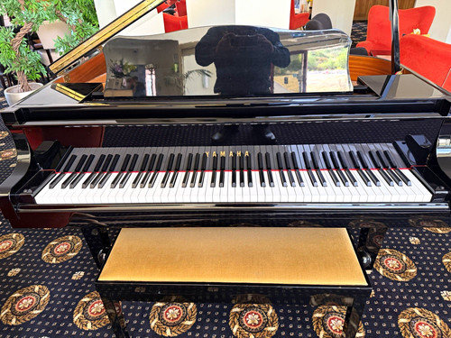 Yamaha ga1 baby - ga1, grand