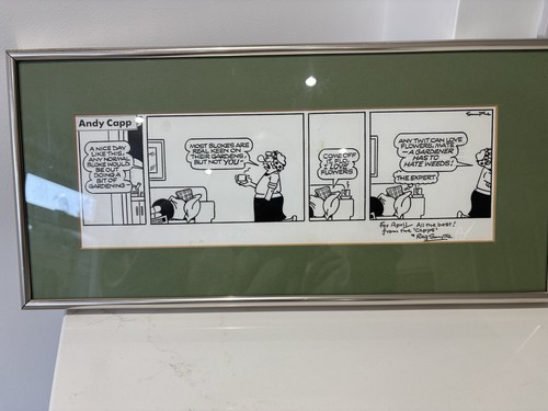 Andy capp cartoon - andy,