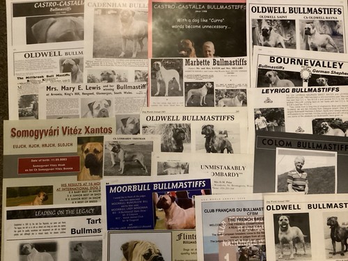 Bullmastiff kennel breed - kennel,