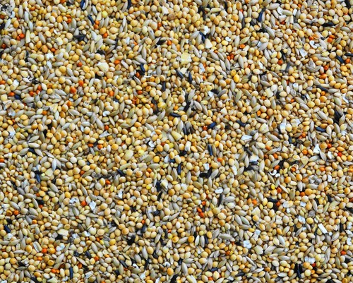 Tropical finch mix - tropical,