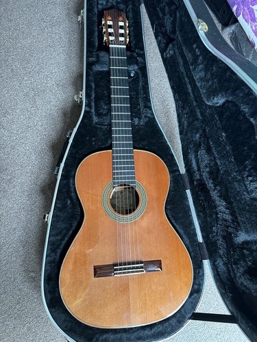 Salvador cortez 140 solid - salvador,