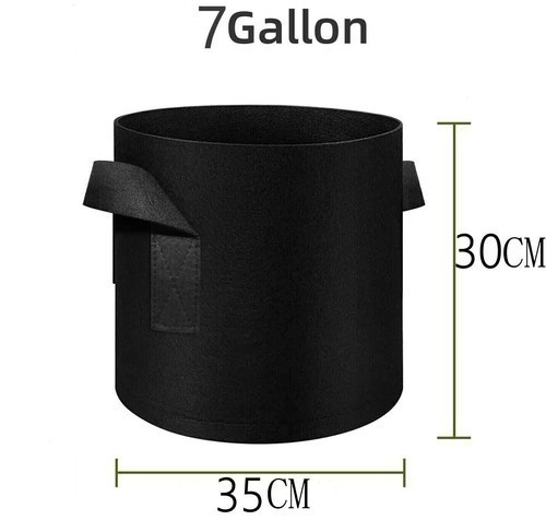 Pack large plant grow - plant, bags