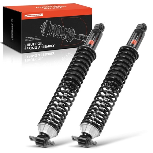 Rear pair coil spring strut - pair,