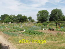 Photo 6x4 Allotments New