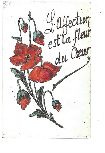 Fantasy glitter poppies - -,