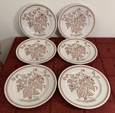 6 Broadhurst Kathie Winkle