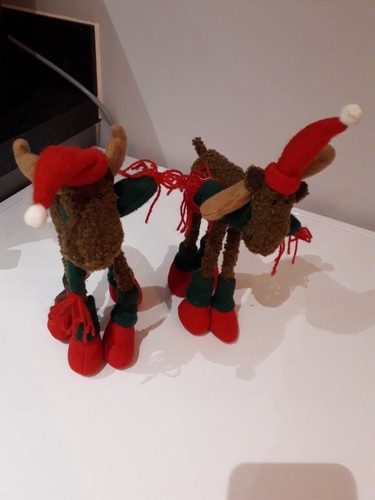 Holiday christmas moose - holiday,