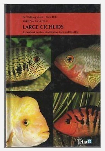 Large cichlids american - large,