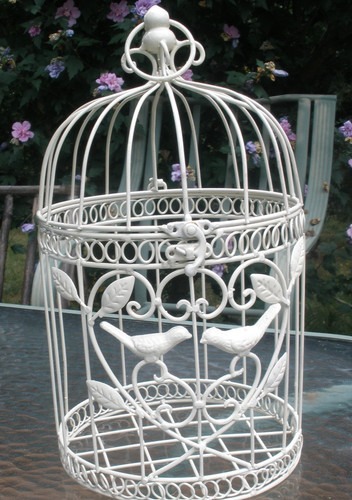 Cottage farmhouse ivory white - cottage, ivory/white