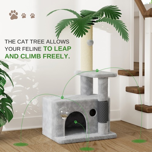 Grey cat activity centre - activity,