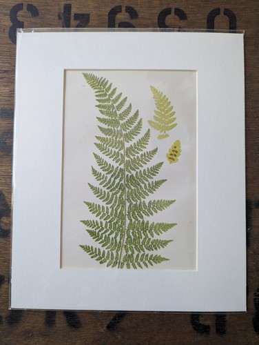 Antique 1870s anne pratt - antique,