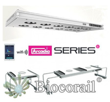 Arcadia Series 6 CREE LED