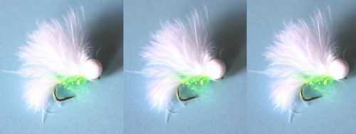 Cats whisker booby flies - whisker,