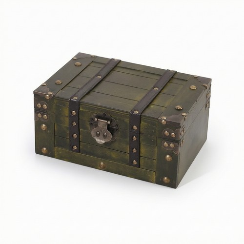 Storage trunk with - storage,