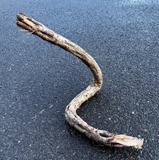 Natural Twisted Branch /
