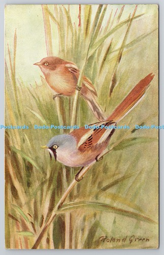 R773062 bearded tit birds - r773062, r