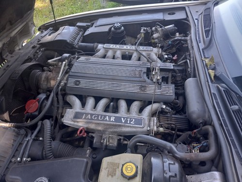 1995 1997 jaguar xjs - jaguar, v12