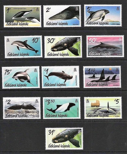Falkland islands 2012 whales - ,