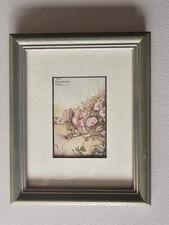 Vintage Flower Fairies Print &