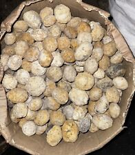 1 x Quartz Geode Unopened Break Your Own Natural