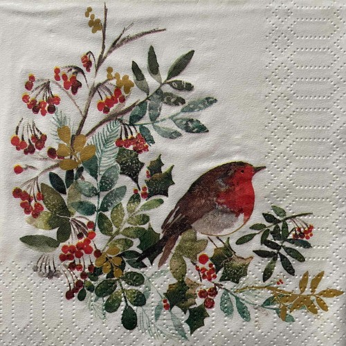 Cocktail paper napkins - , for
