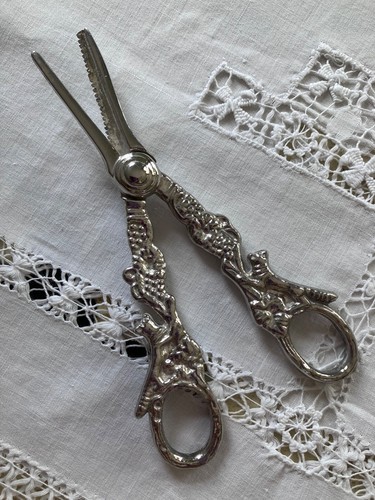 Vintage antique grape - vintage/antique,