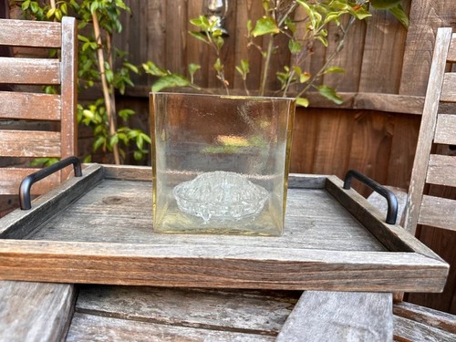 Vintage amber glass square - vintage,