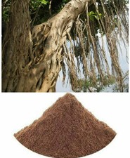 Indian Organic Bargad Bad Jad