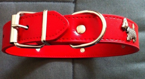 Dog collar new and unworn - and,