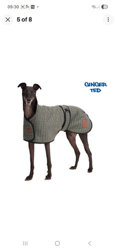 Ginger ted tweed greyhound - ginger,