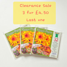 Big Flower Origami Paper  / 10
