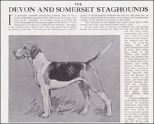 THE DEVON AND SOMERSET