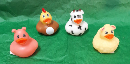 Farm animal ducks - animal,