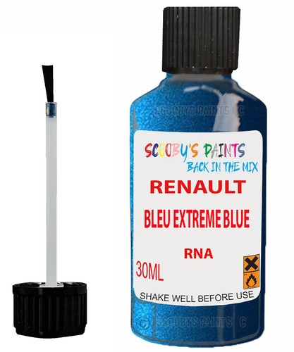 Paint touch for renault - up,