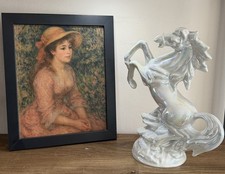 Stunning White Horse Stallion