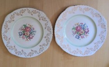 Pair of Royal Harvey Staffordshire English Floral Plate 9inch/23cm