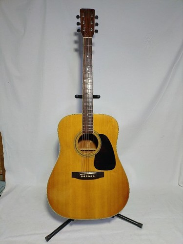Takamine vintage - takamine,