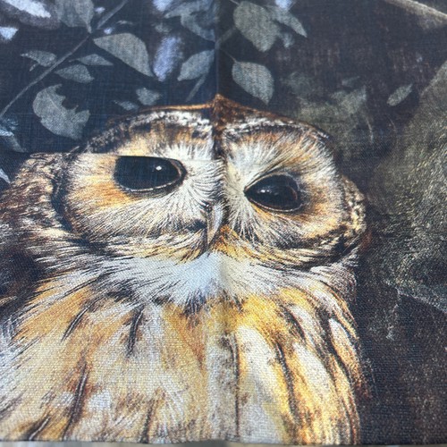 New pollyanna pickering - new,