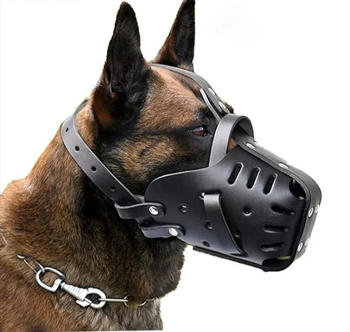 Leather dog muzzle - dog,