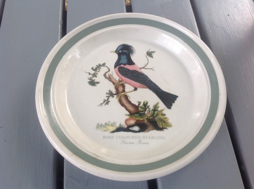 Portmeirion birds of britain - of,