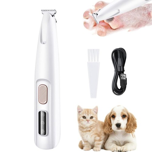 Professional pet dog grooming - dog,