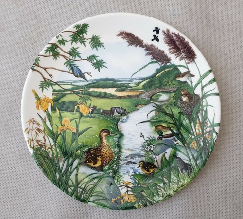 Wedgwood colin newman - wedgwood, newman's