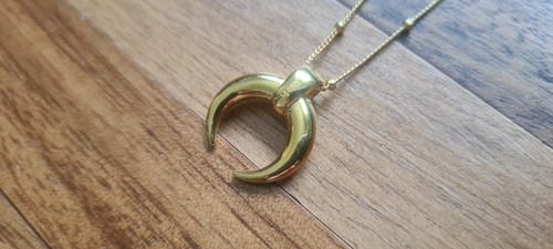 Horn necklace - horn,