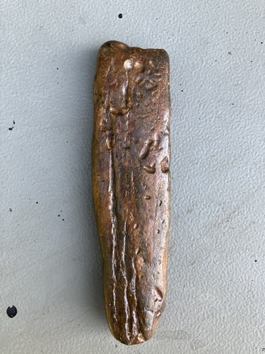 Fossilised whale bone with - whale,