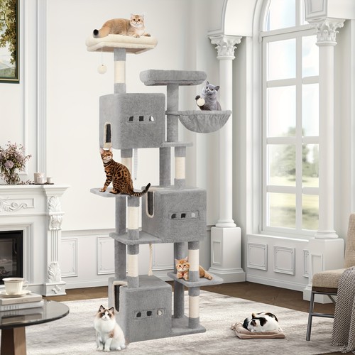 193cm extra large cat - large,