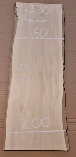 Hornbeam live edge - live,