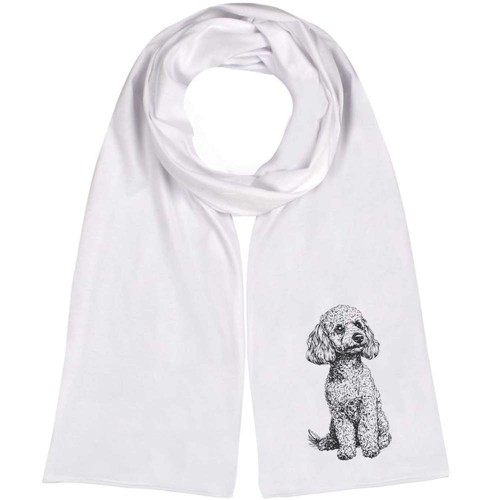 Miniature poodle sitting - poodle, sitting'