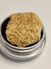 Genuine Kem Kem Dinosaur